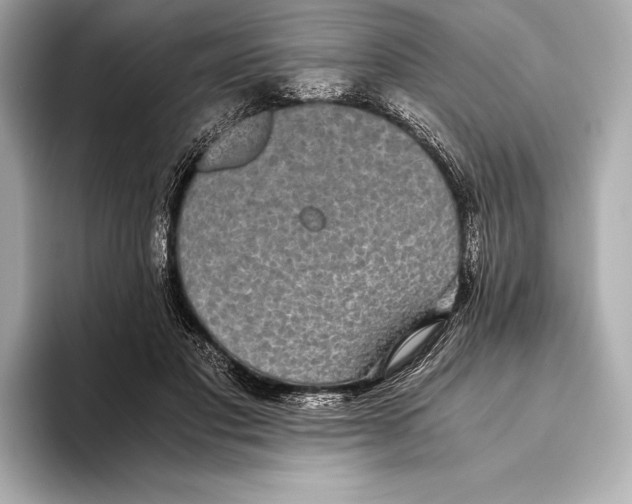 X0000093530501200711021313