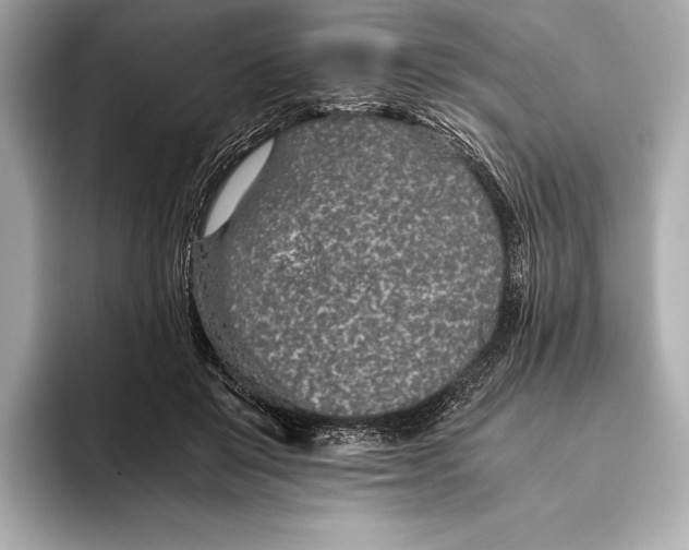 X0000093530503200711021313