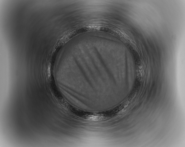 X0000093530504200711021313