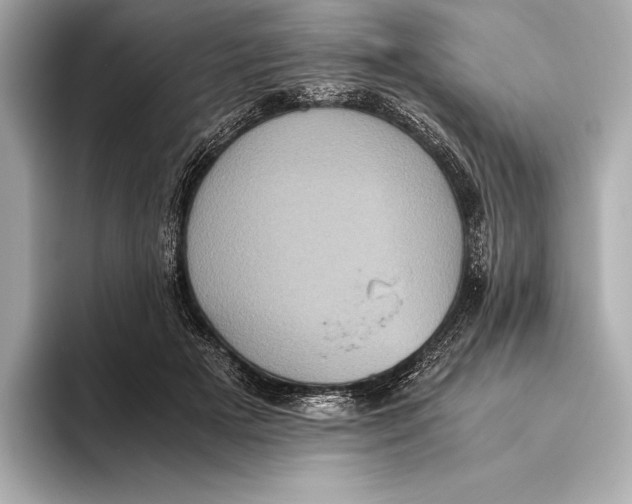 X0000093530505200711021313