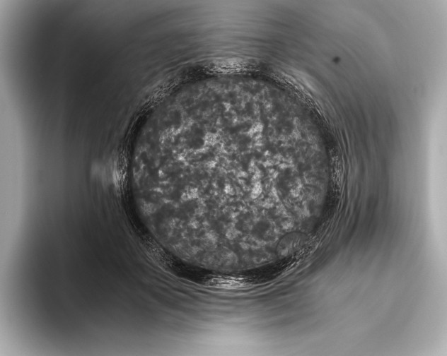 X0000093530507200711021313