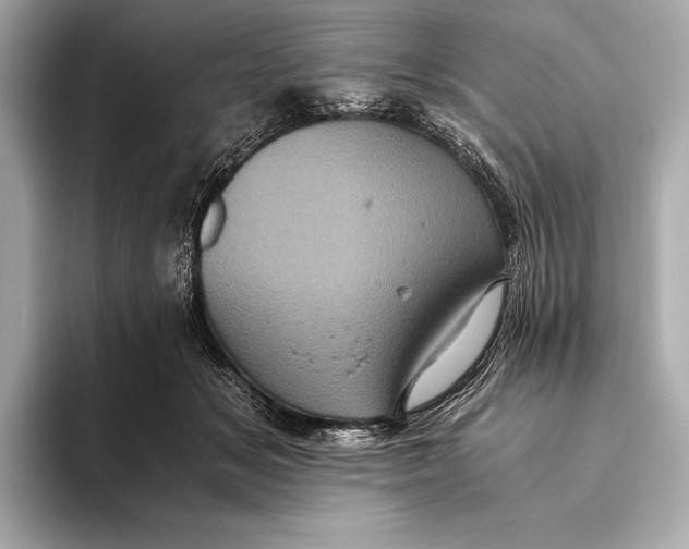 X0000093530509200711021313