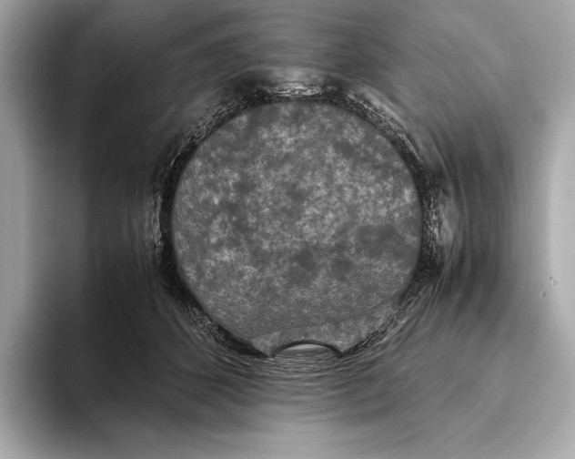 X0000093530512200711021313