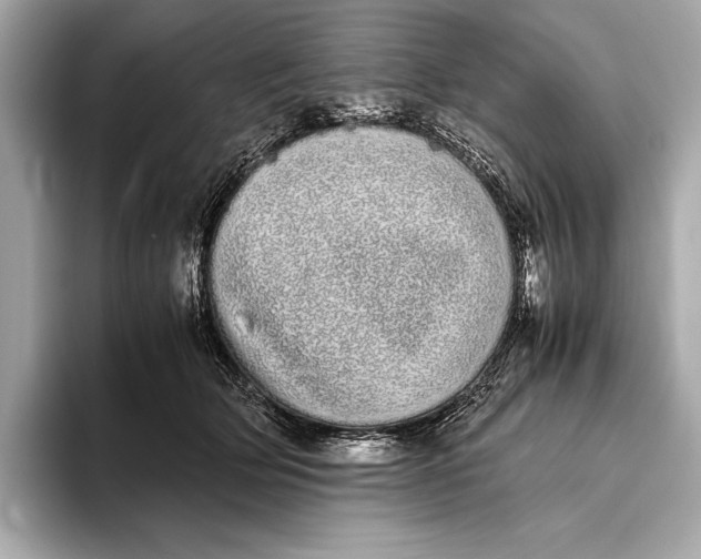 X0000093530514200711021313