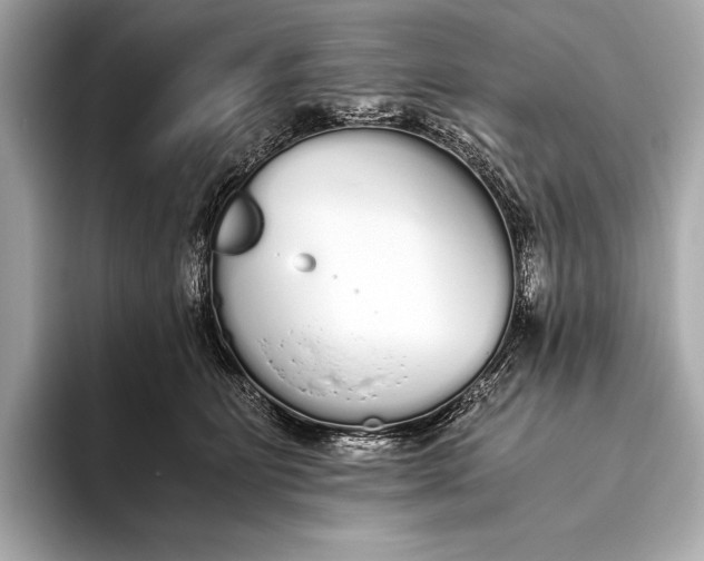 X0000093530515200711021313