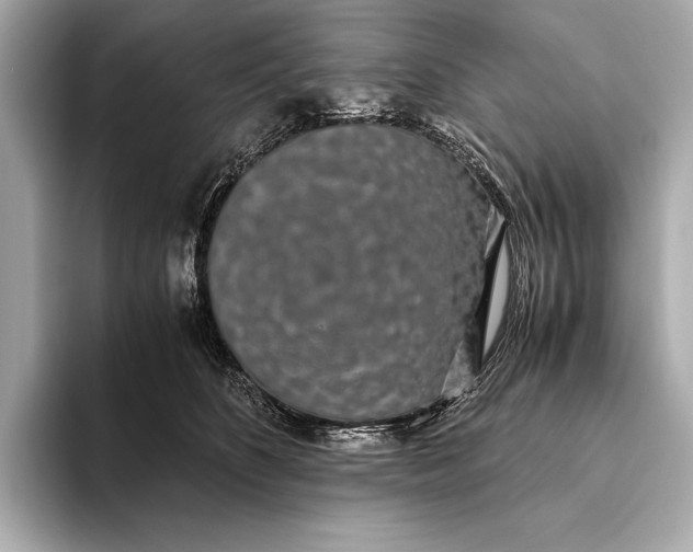 X0000093530516200711021313