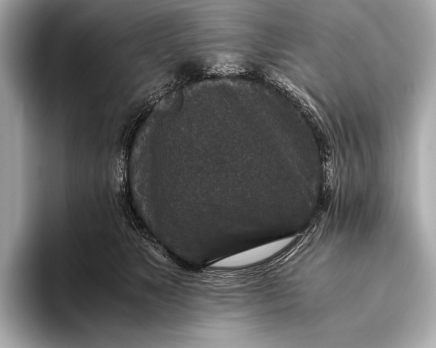 X0000093530517200711021313