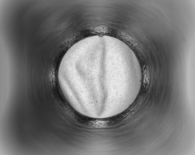 X0000093530518200711021313