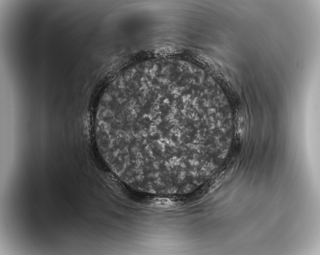 X0000093530519200711021313