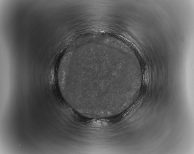 X0000093530520200711021313