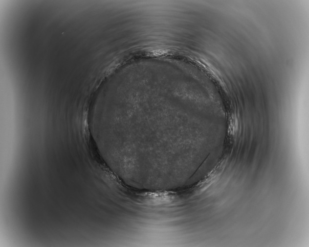 X0000093530524200711021313