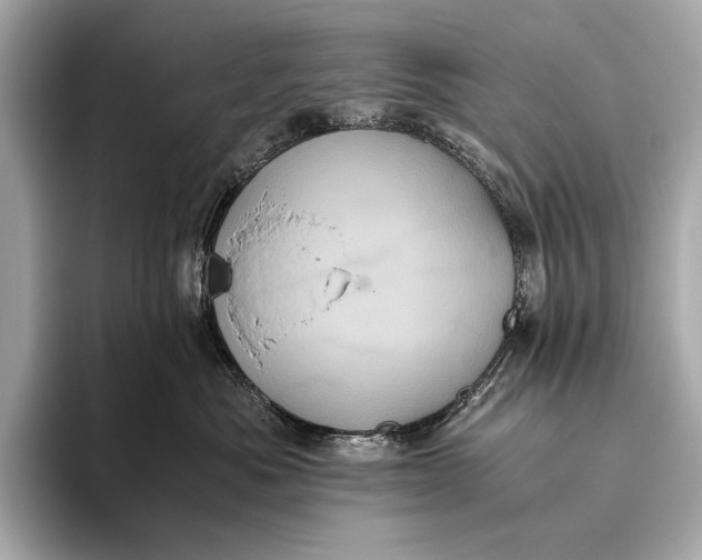 X0000093530525200711021313