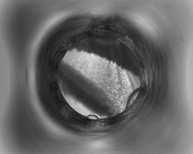 X0000093530526200711021313