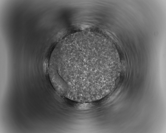 X0000093530527200711021313