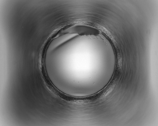 X0000093530530200711021312