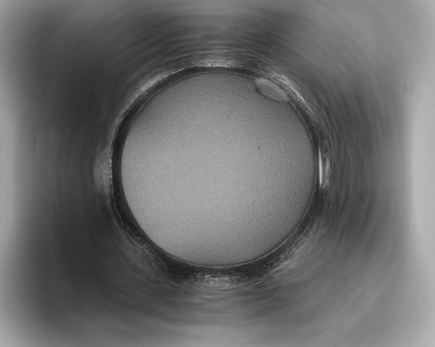 X0000093530531200711021312