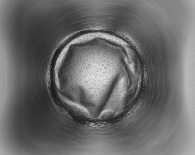 X0000093530532200711021312