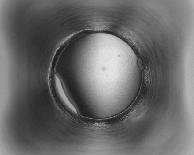 X0000093530536200711021312