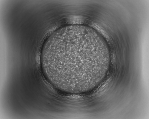 X0000093530537200711021312