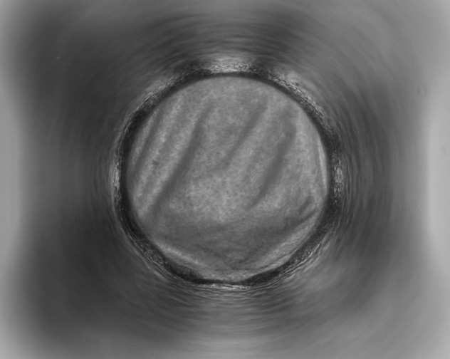 X0000093530539200711021312