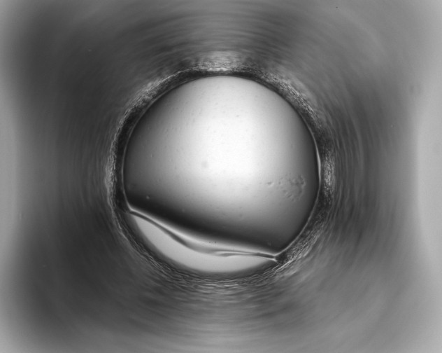 X0000093530540200711021312