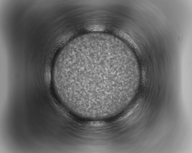 X0000093530541200711021312