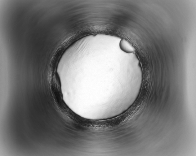 X0000093530542200711021312