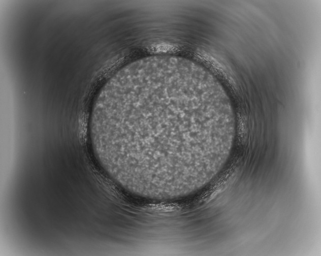 X0000093530545200711021312