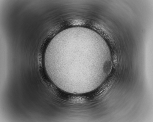 X0000093530547200711021312