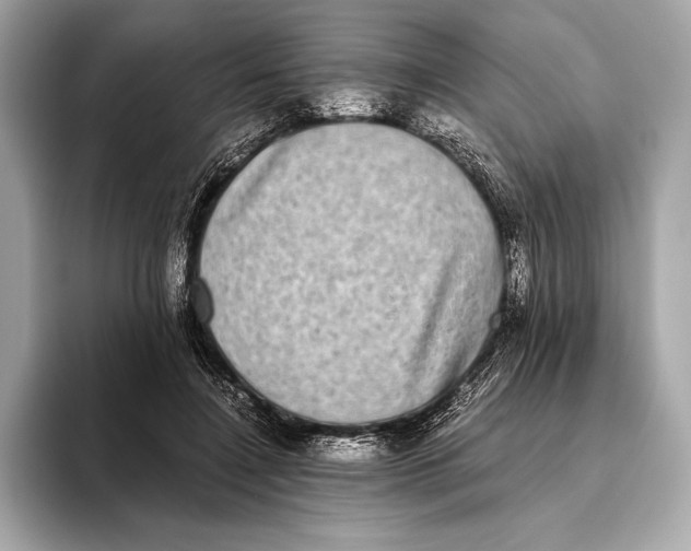 X0000093530548200711021312