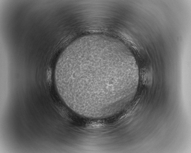 X0000093530550200711021312