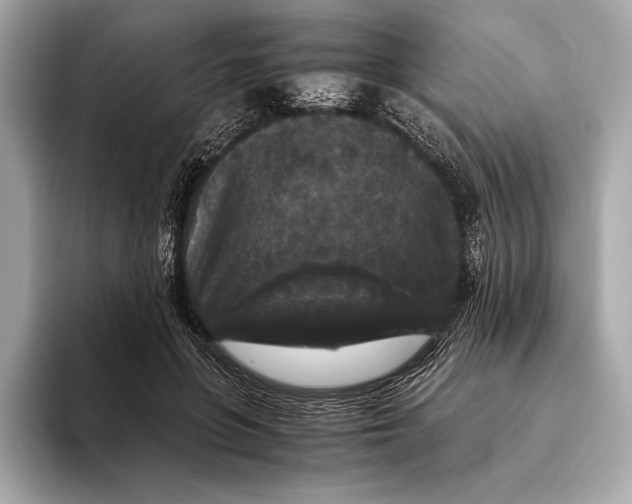 X0000093530551200711021312