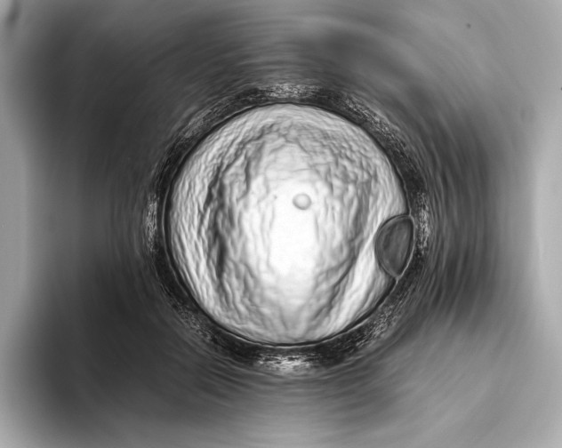 X0000093530554200711021312