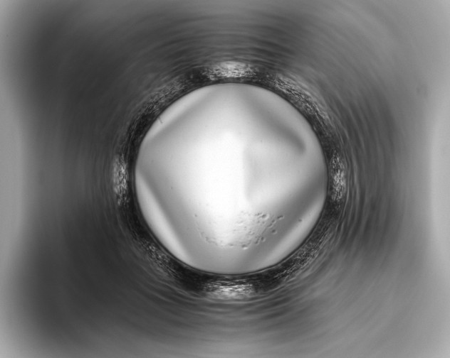 X0000093530555200711021312