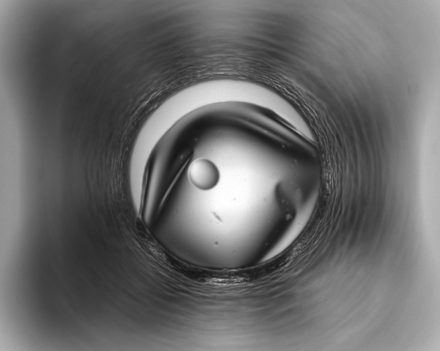 X0000093530556200711021312