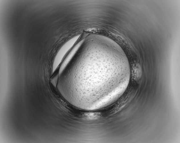 X0000093530558200711021312