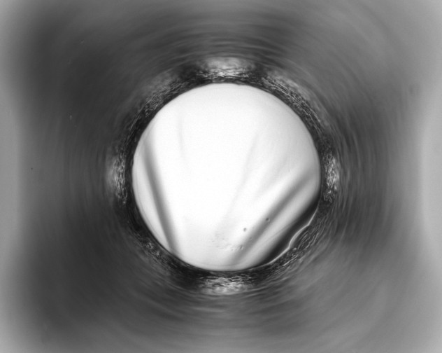 X0000093530559200711021312