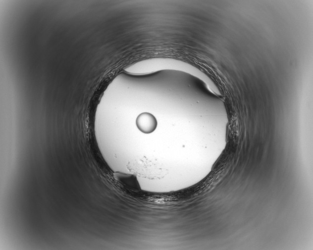 X0000093530564200711021312