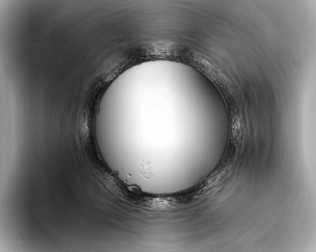 X0000093530566200711021312