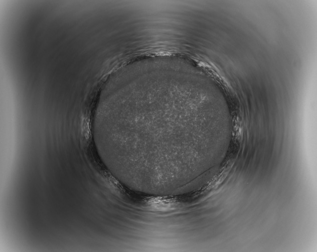 X0000093530568200711021312