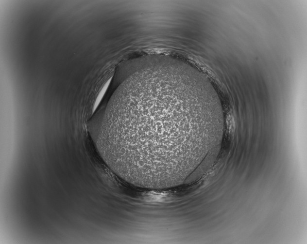 X0000093530570200711021312