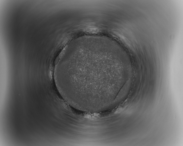 X0000093530576200711021313