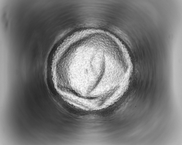 X0000093530578200711021312