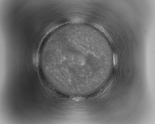 X0000093530579200711021312