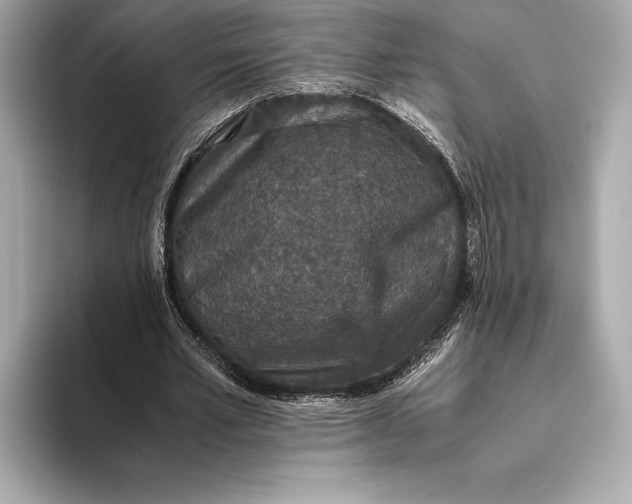 X0000093530581200711021312