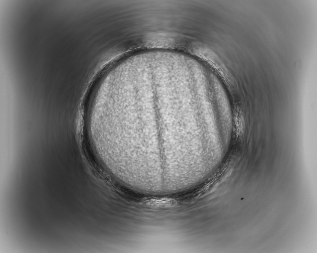 X0000093530583200711021312