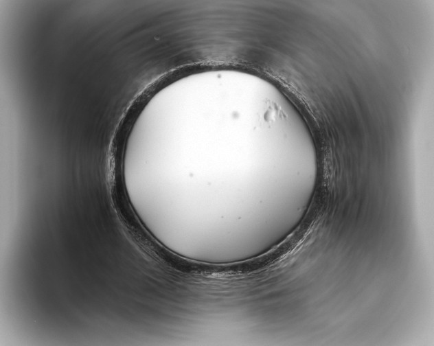 X0000093530584200711021312