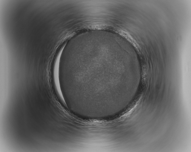 X0000093530585200711021312