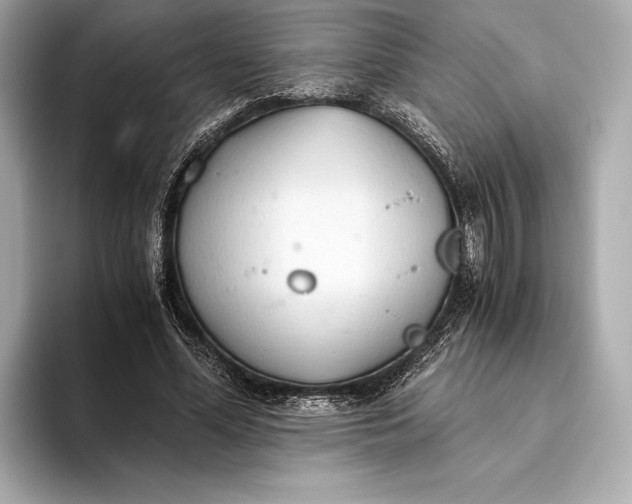 X0000093530588200711021312