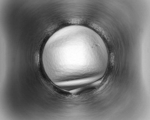 X0000093530589200711021312